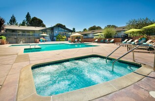 303 Masters Ct, Unit 2 in Walnut Creek, CA - Building Photo