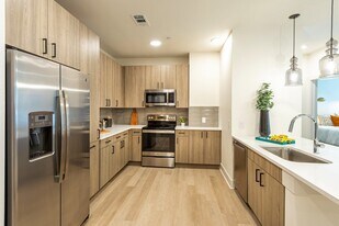 8 Jagged Ridge Drive in Spring, TX - Building Photo