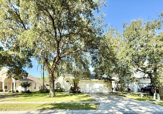 4768 Ridgemoor Cir in Palm Harbor, FL - Building Photo - Building Photo