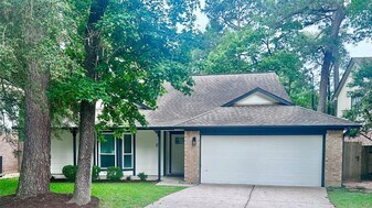 15 Tremont Woods Ct in Spring, TX - Building Photo