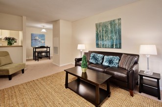 Lakeshire Place Apartment Homes in Webster, TX - Foto de edificio - Interior Photo