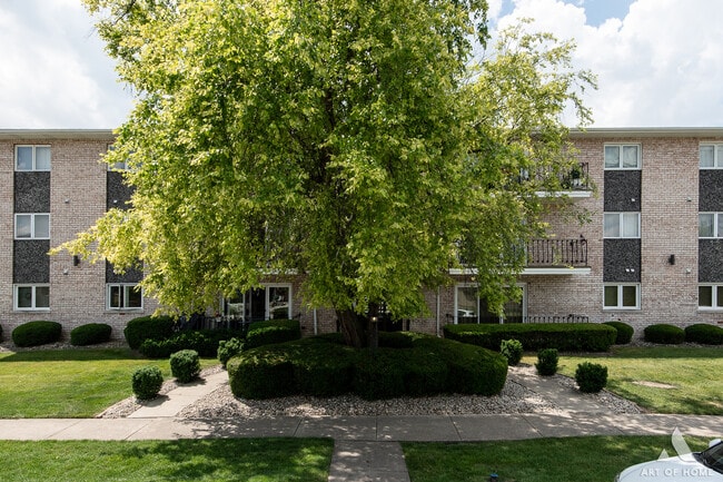 7405 Tiffany Dr in Orland Park, IL - Building Photo - Building Photo