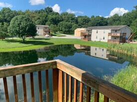 43 Chelsea Ln in Carbondale, IL - Building Photo