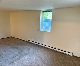 695 Jackson Ave SW, Unit 4 in Cokato, MN - Building Photo - Building Photo