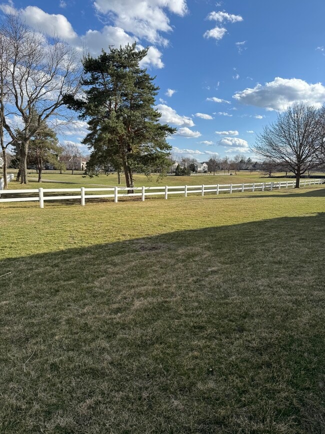 257 Doral Ct in Elk Grove Village, IL - Foto de edificio - Building Photo