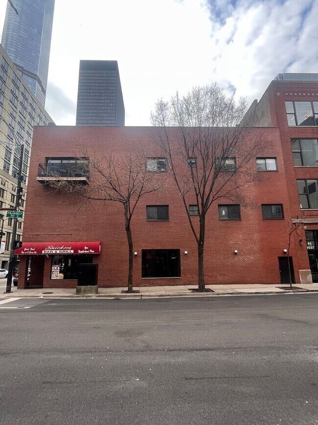 440 N State St in Chicago, IL - Building Photo - Building Photo