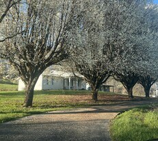 12 Flick Drive in London, KY - Building Photo