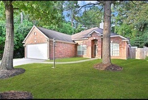 14610 Southern Magnolia Cir in Houston, TX - Building Photo