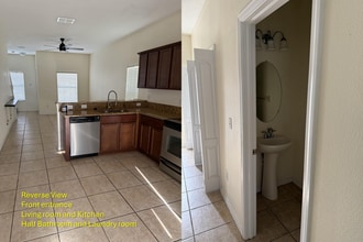 20427 Needletree Dr in Tampa, FL - Foto de edificio - Building Photo