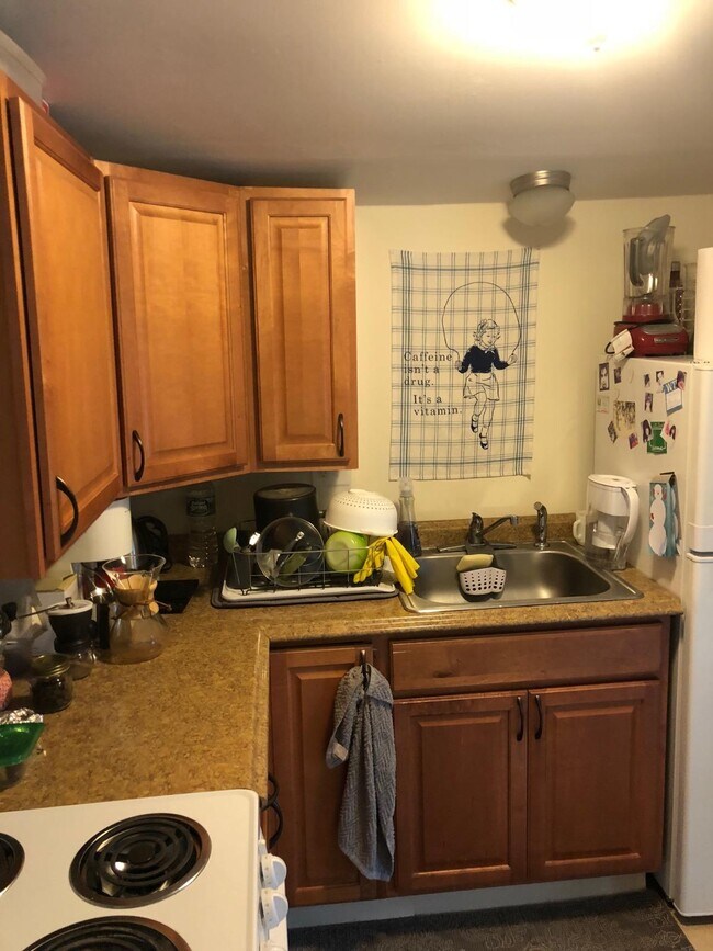 293 Beacon St, Unit 2 in Somerville, MA - Building Photo - Building Photo