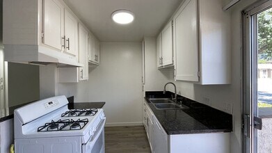7101 Haskell Ave in Los Angeles, CA - Building Photo - Building Photo