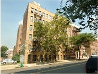 2465 Crotona Ave in Bronx, NY - Foto de edificio - Building Photo