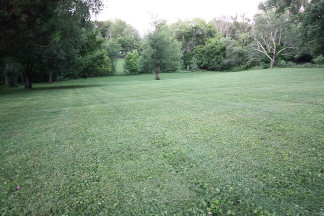 203 Dorsey Way in Louisville, KY - Building Photo - Building Photo