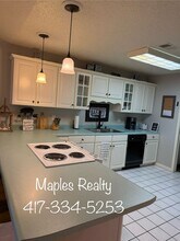 161 Avondale Dr in Branson, MO - Building Photo - Building Photo