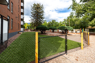 Luxe Tower in Colorado Springs, CO - Building Photo - Other