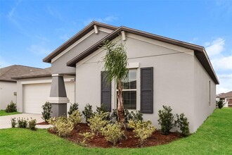 13607 Willow Bluestar Lp in Riverview, FL - Building Photo - Building Photo