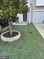 43546 Wild Iris St in California, MD - Building Photo