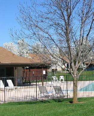 Eastwood Court in Chico, CA - Building Photo