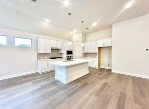 528 Tubman Dr in Kyle, TX - Building Photo - Building Photo