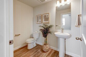 Canvas at Castle Rock in Castle Rock, CO - Foto de edificio - Building Photo