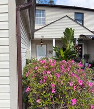 6141 Oak Cluster Cir in Tampa, FL - Foto de edificio - Building Photo