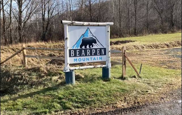50 Don Irwin Rd in Prattsville, NY - Building Photo - Building Photo