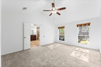 19 E Summer Storm Cir in Spring, TX - Building Photo - Building Photo