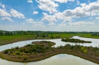 Apartments in Bellaire, TX