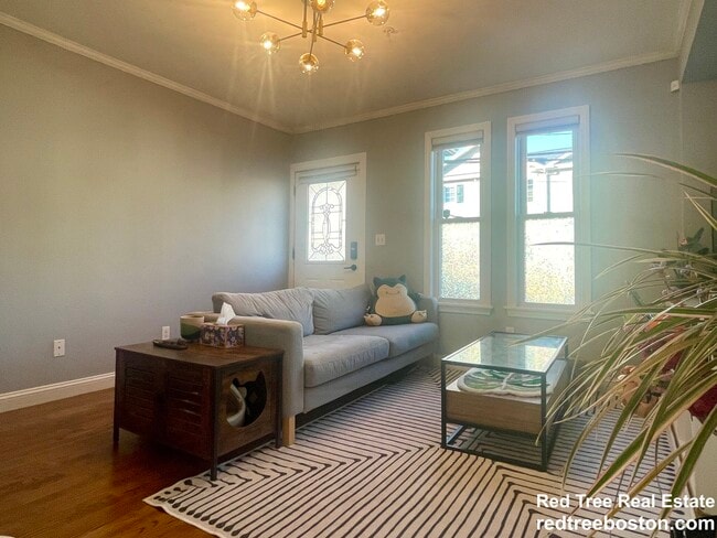 property at 53 Myrtle St