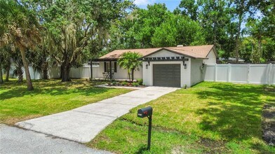 3818 Meridian Pl in Land O Lakes, FL - Building Photo - Building Photo