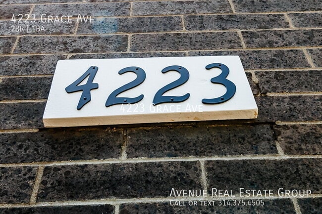 4223 Grace Ave in St. Louis, MO - Building Photo - Building Photo