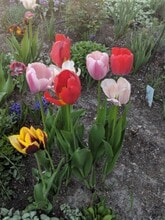 718 Darby St in Helena, MT - Building Photo - Building Photo