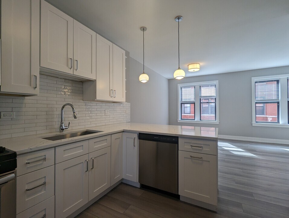 3935 N Janssen Ave in Chicago, IL - Building Photo