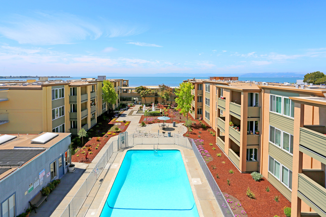 Shoreline Apartments in Alameda, CA - Building Photo