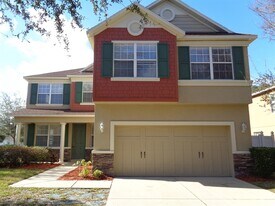 11125 Running Pine Dr in Riverview, FL - Building Photo