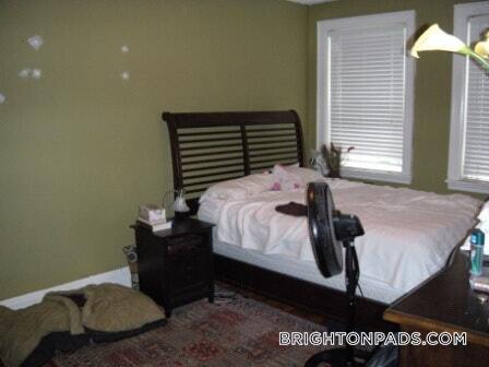 249 Chestnut Hill Ave in Boston, MA - Building Photo - Building Photo