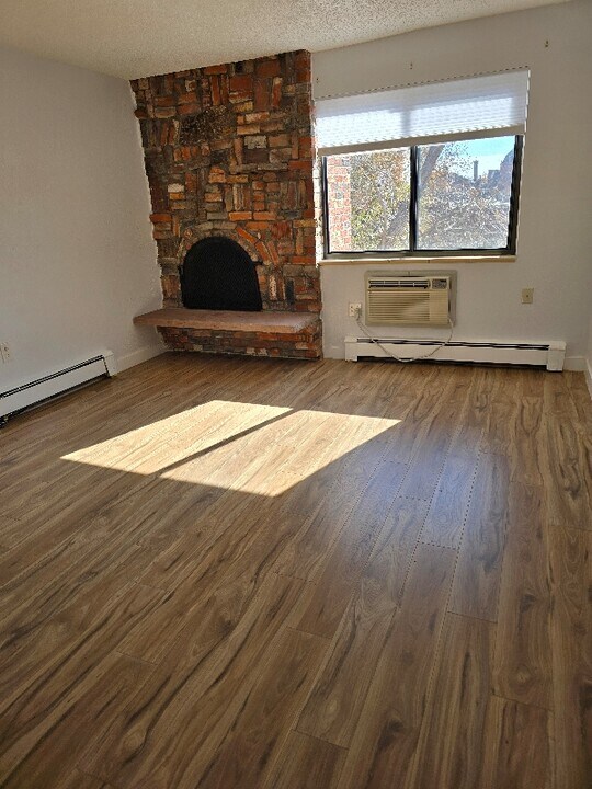 1008 Corona St in Denver, CO - Building Photo