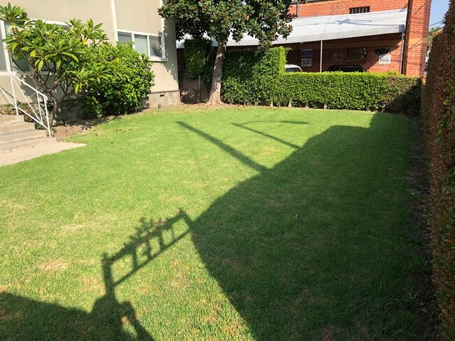 1417 Holt Apartments in Los Angeles, CA - Building Photo - Building Photo