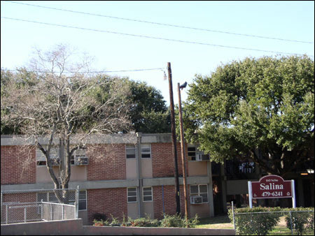 Salinas Apartments in Austin, TX - Building Photo - Building Photo