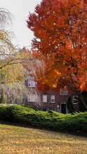 Wynnefield Terrace in Philadelphia, PA - Foto de edificio - Building Photo