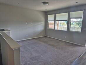 5307 Alberta Falls St in Timnath, CO - Building Photo - Building Photo
