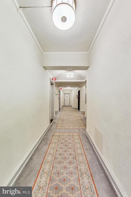 3900 Cathedral Ave NW-Unit -304-A in Washington, DC - Building Photo - Building Photo