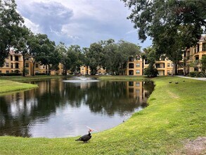 5620 Pinnacle Heights Cir in Tampa, FL - Building Photo - Building Photo