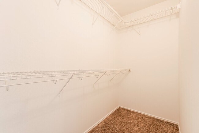 23611 Twisting Falls Dr in Spring, TX - Building Photo - Building Photo