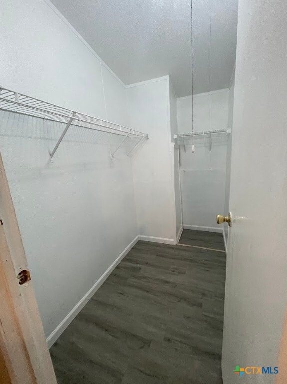 property at 622 Spike Buck Run