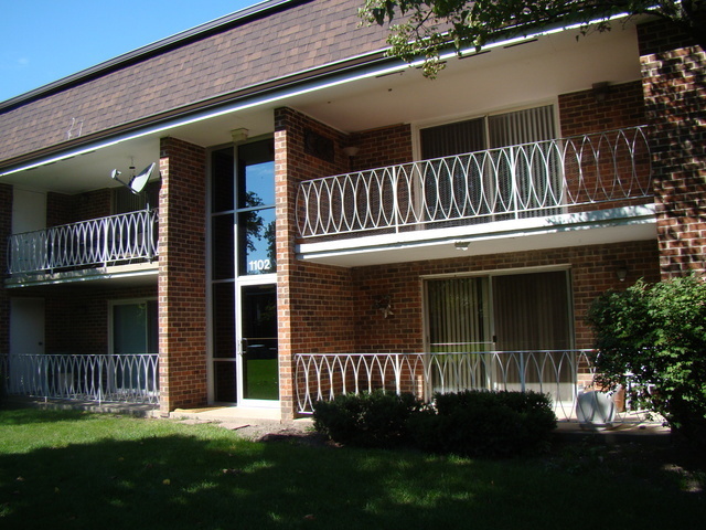 1102 Mercury Dr-Unit -2C in Schaumburg, IL - Building Photo