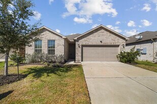 329 Paso Fino Dr in Alvin, TX - Building Photo