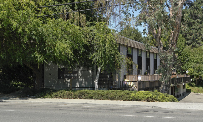 4251 San Pablo Dam in El Sobrante, CA - Building Photo - Building Photo