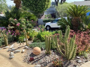 1125 Pagoda Pl in Los Angeles, CA - Building Photo - Building Photo