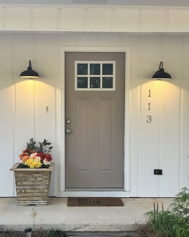property at 113 Penny Ln